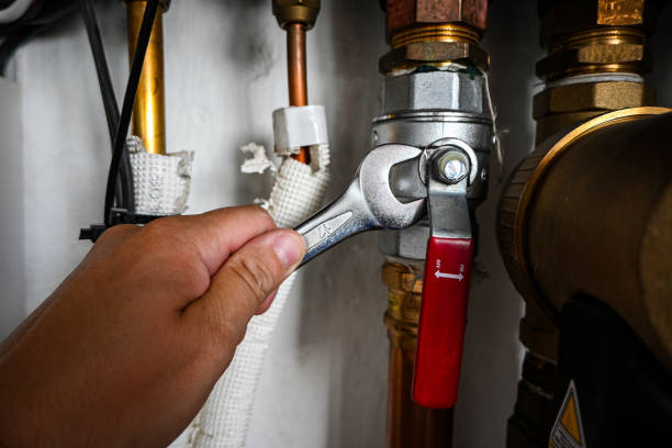 Best Commercial Plumbing Services  in Flowing Wells, AZ